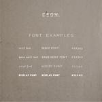 Font examples for business logo and branding design by Danibydsgn, showcasing serif, sans serif, script, and display font options used in professional brand identity and logo design projects.