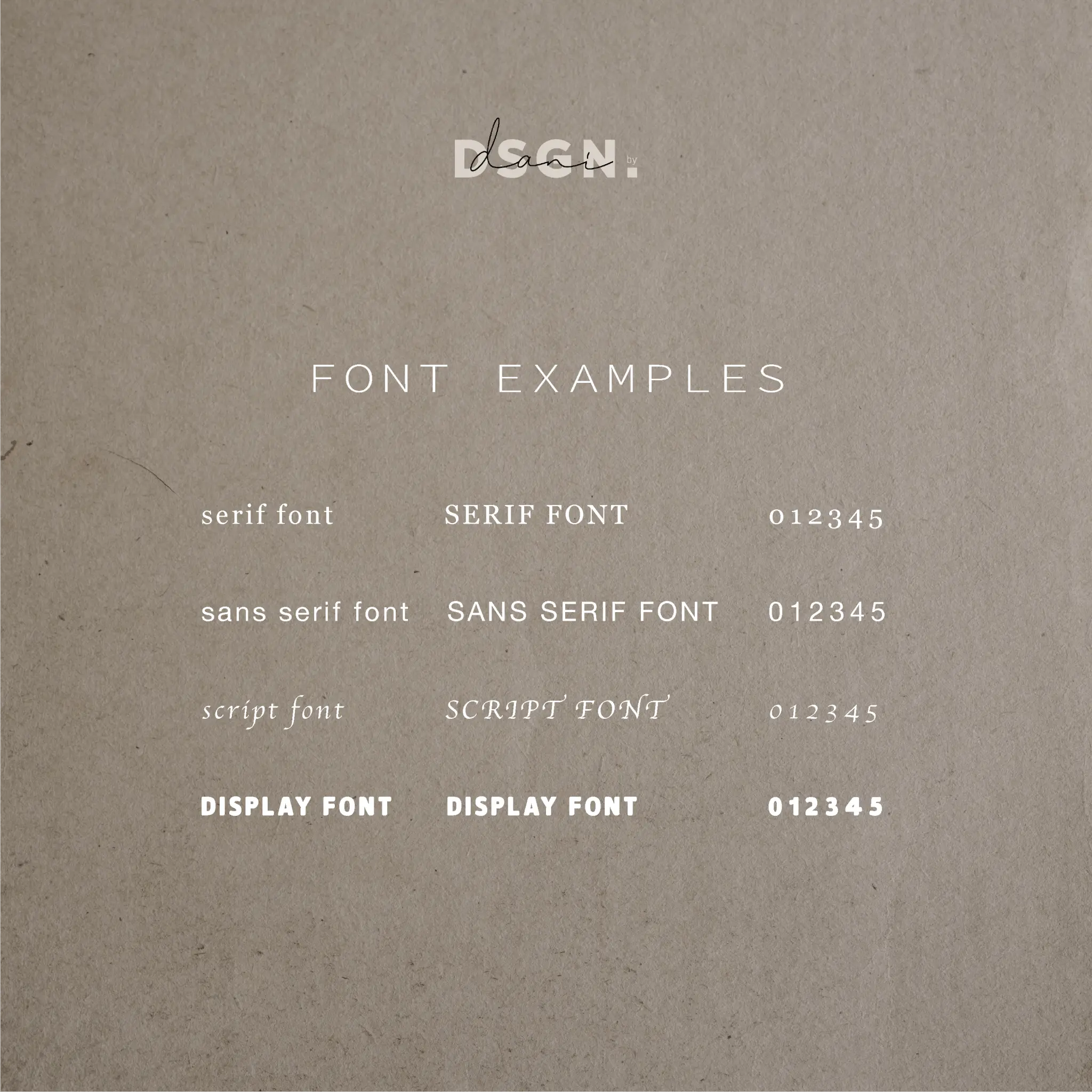 Business logo design and branding kit showcasing font style examples by Danibydsgn.